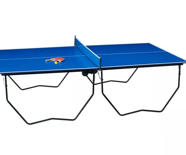 MESA PING PONG AGM JUNIOR
